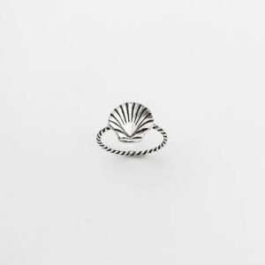 Anel de Concha Média